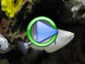 Robot fish video
